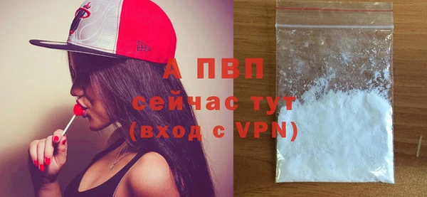 хмурый Вяземский