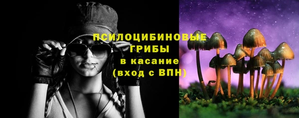 хмурый Вяземский