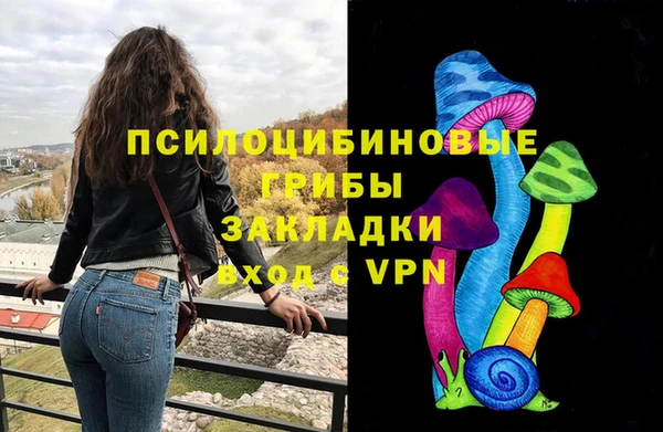 хмурый Вяземский
