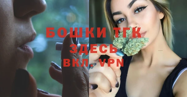 хмурый Вяземский