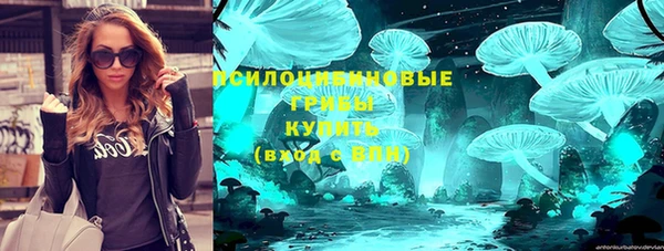 хмурый Вяземский