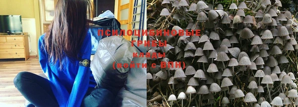 хмурый Вяземский
