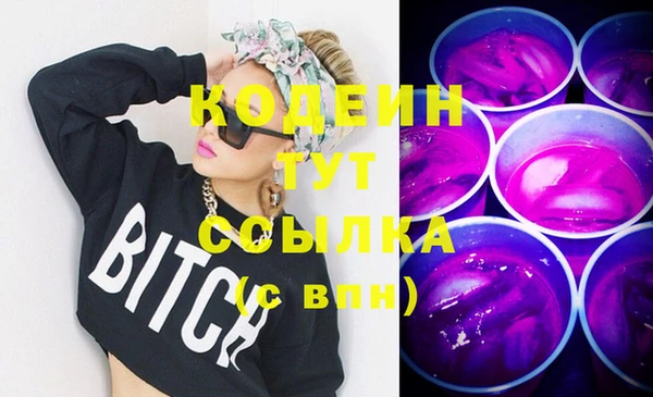 хмурый Вяземский