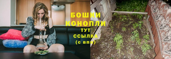 хмурый Вяземский