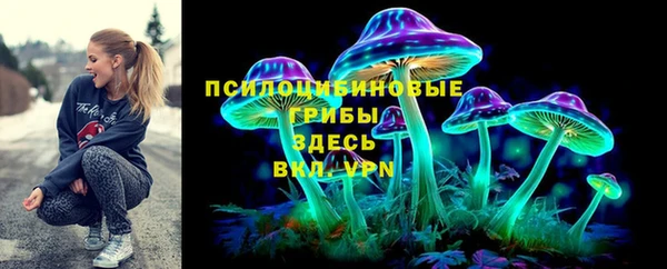 хмурый Вяземский