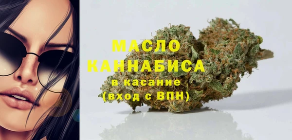хмурый Вяземский