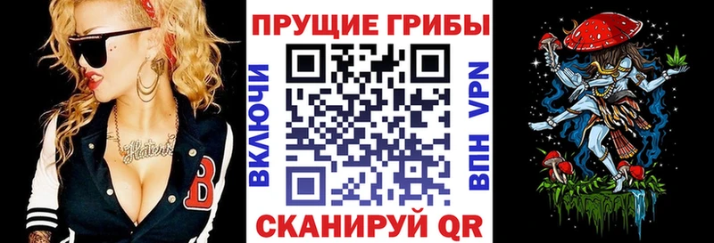 Купить где  Буйнакск  Псилоцибиновые грибы Psilocybe 